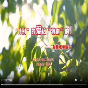 视频2